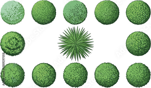 Green bushes and foliage shapes in various shades and textures plants leaves