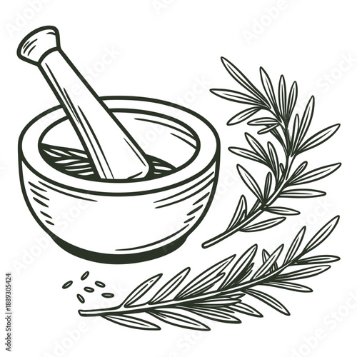 Mortar and pestle with rosemary herb. Grinding herbal spice, seasoning with pistil. Natural aromatic condiment, flavoring, cooking ingredient. Flat vector illustration isolated on white background