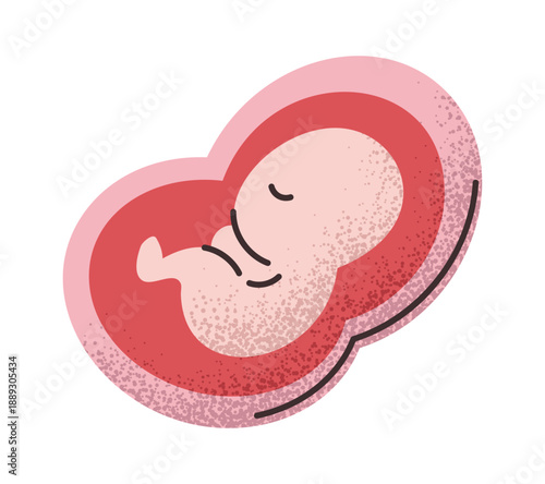 Baby fetus inside womb sticker