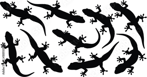 Lizard and gecko silhouette collection, reptile animal poses, crawling amphibian shapes, black wildlife vector illustration set