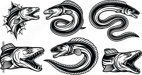 Aggressive eel fish illustration set, moray predator heads, twisted sea creature poses, marine animal vector tattoo style artwork