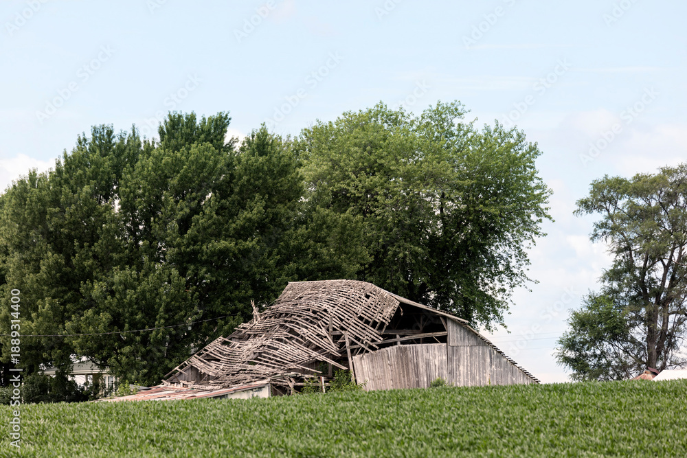 Fototapeta premium Expansive Green Field Landscape with Wood Debris Element