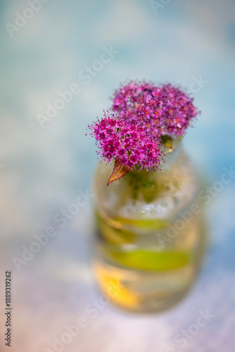 Kwiatki w szklanym wazonie