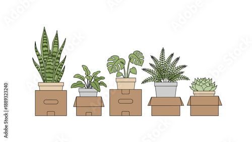 Houseplants arranged in boxes: minimalist flat design for moving and