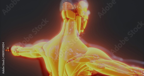 Tableau sur toile Luminescent shoulder and neck tissue showing cellular regeneration and molecular