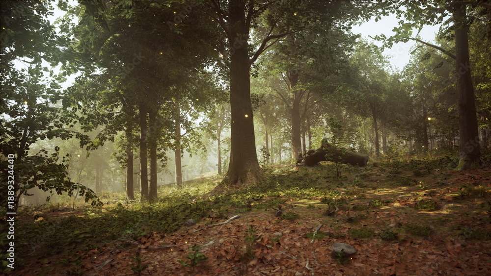 Fototapeta premium A Serene Sunset in a Lush Forest