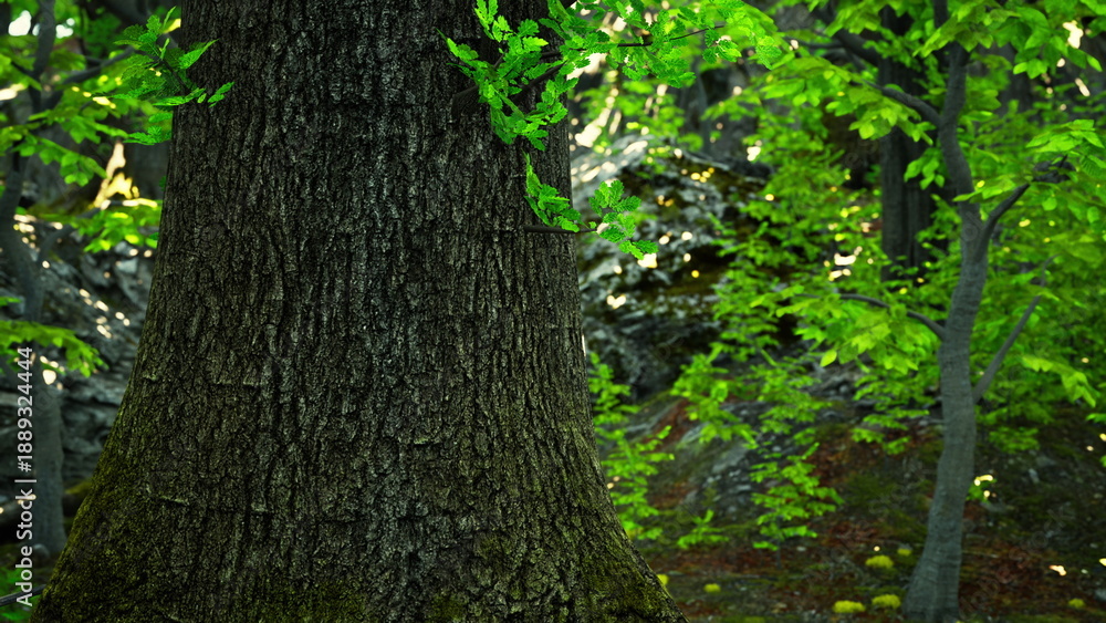 Obraz premium A large tree in the middle of a forest