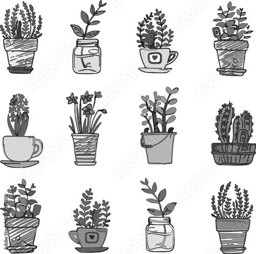 Artistic Collection of Hand-Sketched Potted Greenery and Botanical Elements for Professional and Personal Design Projects