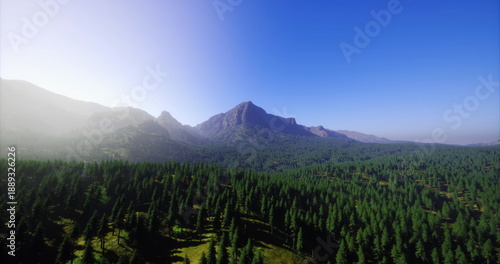 Tableau sur toile aerial forest expanse leading to jagged summit