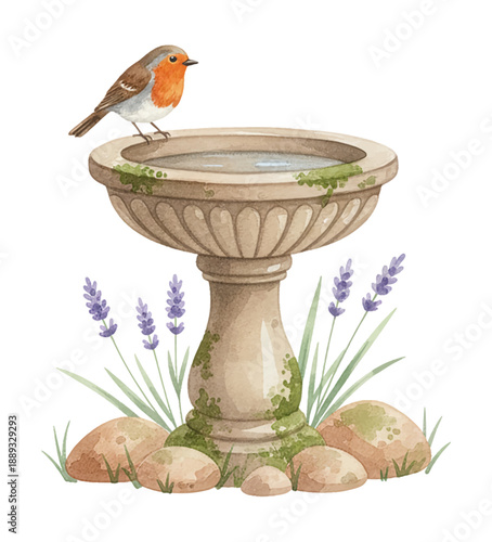 A cute robin bird perches on a stone bird bath filled with water surrounded by lavender and rocks with a calm mood