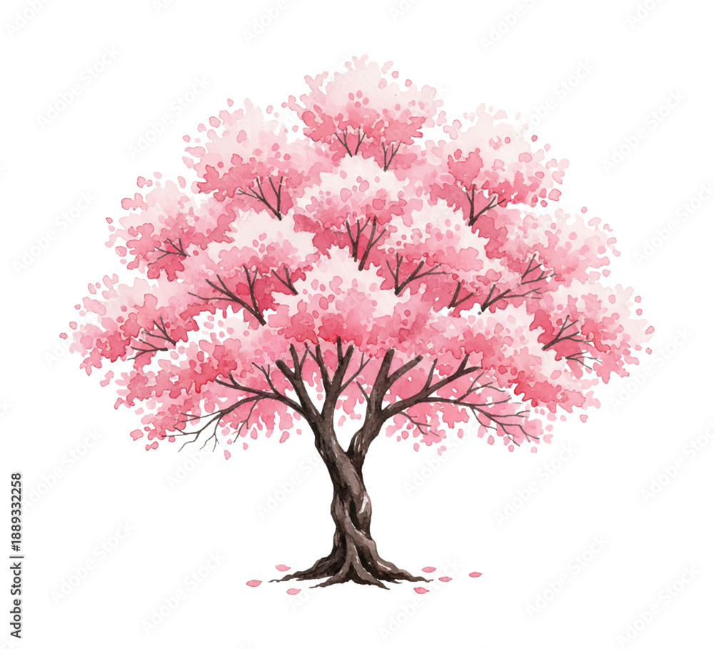 Obraz premium Beautiful Watercolor Sakura Tree with Pink Blossoms Isolated on White Background Illustration