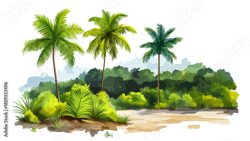 Iwokrama Rainforest. Iwokrama Rainforest hand drawn watercolor illustration