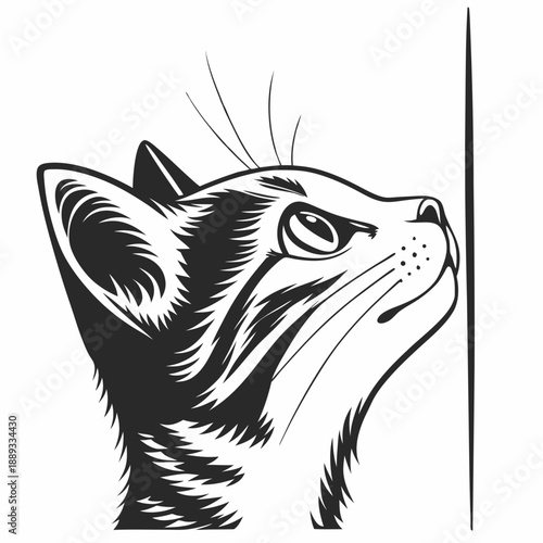 Cat peaking head vector design. Peaking cat head silhouette black and white. Peaking cat logo, icon.