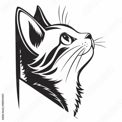 Cat peaking head vector design. Peaking cat head silhouette black and white. Peaking cat logo, icon.