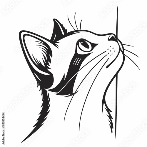 Cat peaking head vector design. Peaking cat head silhouette black and white. Peaking cat logo, icon.