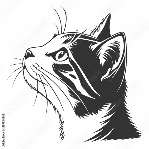 Cat peaking head vector design. Peaking cat head silhouette black and white. Peaking cat logo, icon.