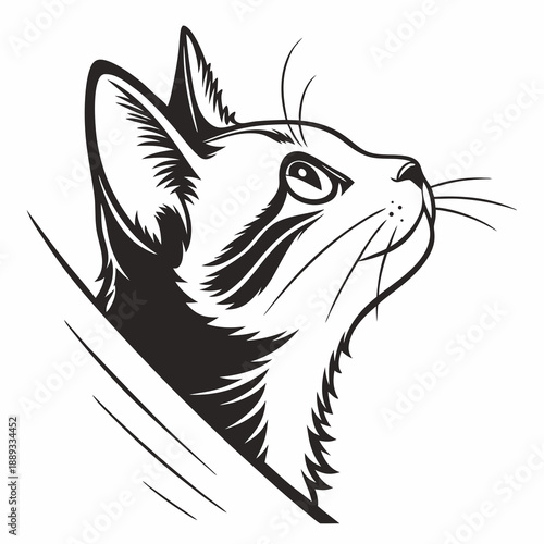 Cat peaking head vector design. Peaking cat head silhouette black and white. Peaking cat logo, icon.