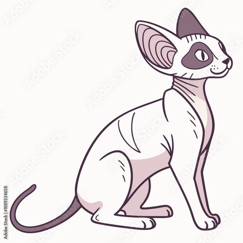 Sphinx cat breed color flat icon for web and mobile design. Vector illustration of cartoon Sphinx cat exotic cats of breed a sphinx. Cat portrait. Isolated on white background.