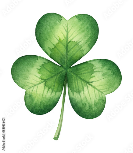Vibrant green three leaf clover shamrock plant botanical illustration painted in watercolor style