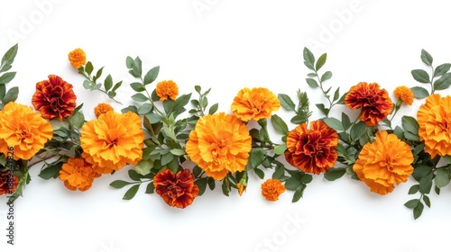 Horizontal border of vibrant orange and red marigold flowers with lush green leaves on white, perfect for autumn celebrations and festive designs