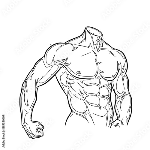 Detailed line art illustration of a powerful, muscular male torso with defined abs and biceps, showcasing strength and fitness.