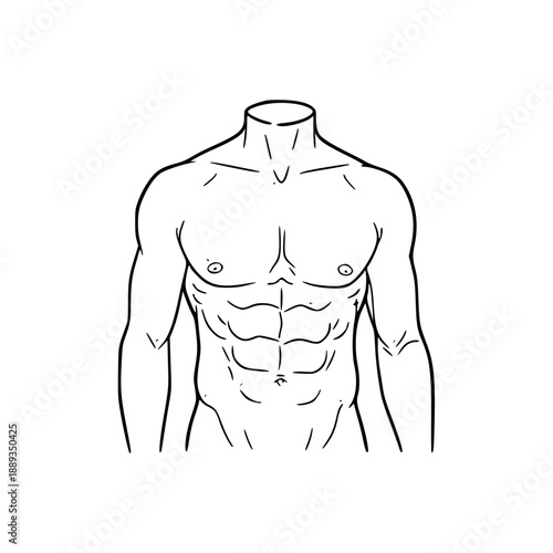 Simple line art illustration depicting a fit male upper body, showcasing well-defined chest and prominent six-pack abs.