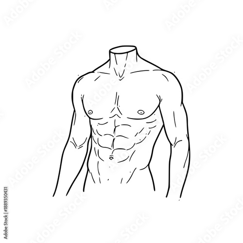 Detailed line drawing of a muscular male torso with defined abs and chest, depicted without a head.
