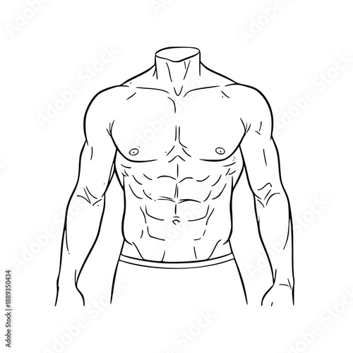 Detailed line art illustration showcasing a strong, muscular male torso with well-defined abdominal muscles and arms.