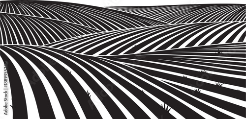 Black and white striped pattern with optical illusion effect