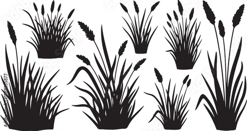 Black Silhouettes of Cattails and Grasses on White Background