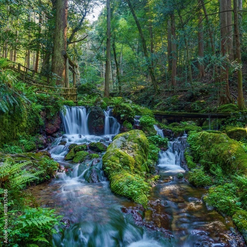 Fotografie 癒しの森：清流の瓜割の滝と緑豊かな苔の景色、森林浴のイメージ素材