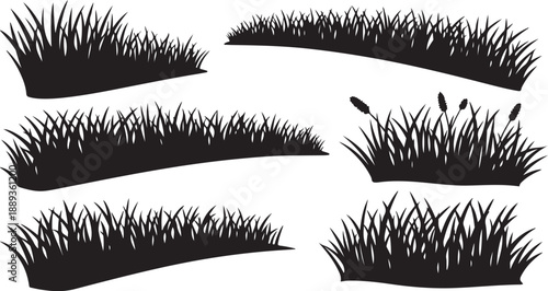 Black Silhouettes of Grass and Cattails on White Background