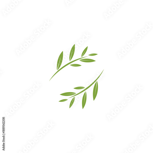 Eucalyptus leaf logo