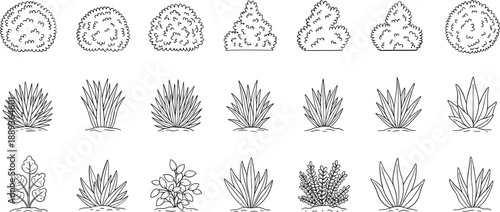 Variety of cacti and succulents in different shapes