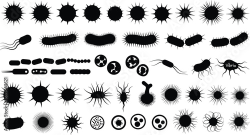 Various bacteria and germs in black silhouette on white background