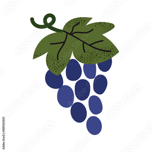 Grape icon clipart avatar logotype isolated illustration