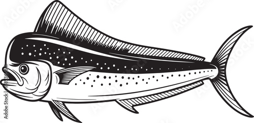 Black and white of a mahi fish with detailed fins and body markings marine life ocean