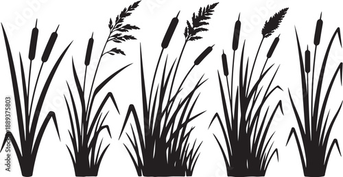 Black Silhouette of Cattails and Grasses on White Background