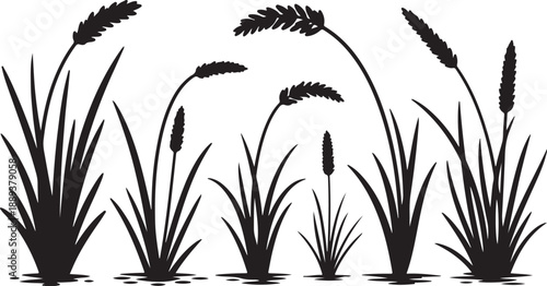 Black Silhouette of Cattails and Reeds in Water Vector