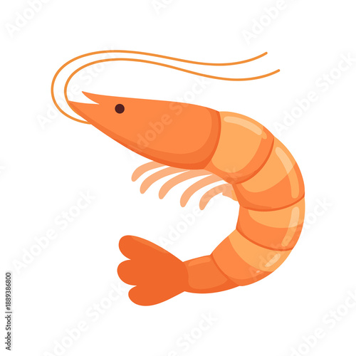 Orange shrimp flat vector illustration
