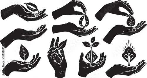 Hands holding leaves and plants in black silhouette style