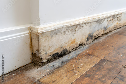Mold growth and damage along the wall near the floor in a home environment