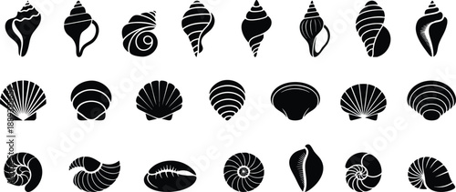 Different sea shell shapes silhouette collection, various sea  shells with different textures and patterns Shell fossil  vector art.