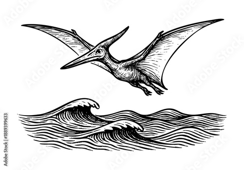 Pterodactyl hand drawn simple sketch vector illustration