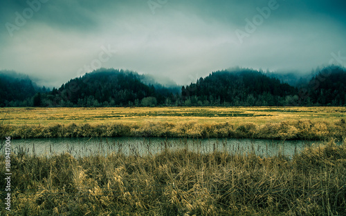 Slika na platnu The River