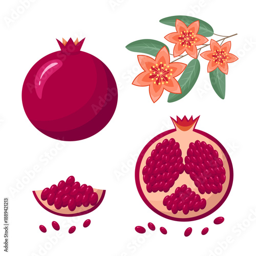 pomegranate set, flowers, seed. Vector Illustration for printing, backgrounds, covers and packaging. Image can be used for greeting cards, posters, stickers and textile. Isolated on white background.