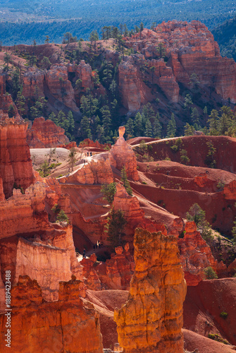 Bryce Canyon Hoodoos