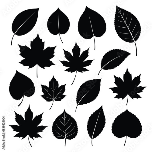 A collection of black silhouettes depicting various leaf shapes against a white background