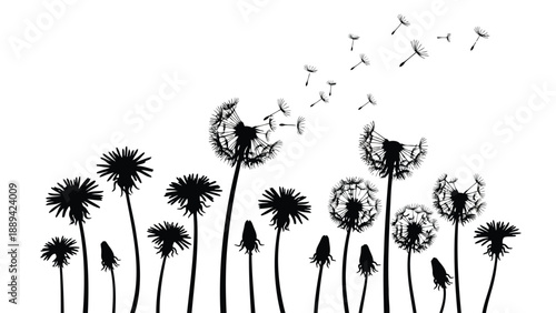 A minimalist black silhouette depiction of dandelions releasing seeds into the air