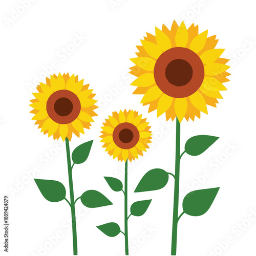 A simple illustration depicts three vibrant sunflowers with green stems and dark centers